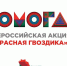 «Красная гвоздика» - Администрация г. Магнитогорска