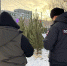 Магнитогорские полицейские проводят проверки мест реализации пиротехнической продукции и деревьев хвойных пород - Магсити74