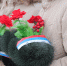 Памяти защитников Отечества - Собрание депутатов г. Магнитогорска